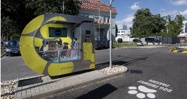 dog wash